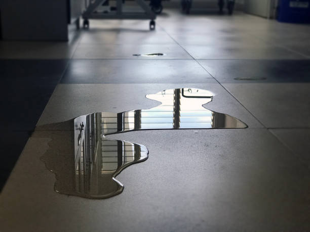 Best 24/7 water damage repair  in La Porte, IN