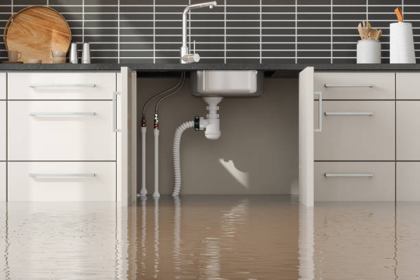 Best Residential water damage restoration  in La Porte, IN
