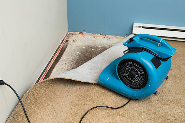 Best Water damage mitigation services  in La Porte, IN